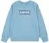 Levi's Kids Batwing Crewneck Sweater