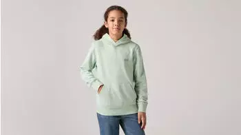 Levi's Hoodie (9E8778) cameo green