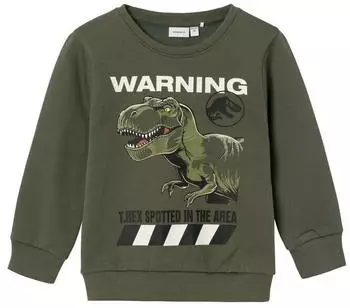 Name It Nat Jurassic Sweatshirt beetle