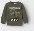 Name It Nat Jurassic Sweatshirt beetle