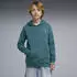 Puma Class Graphic Hoodie TR B Kapuzensweatshirt Regular Fit (692532) emerald ice