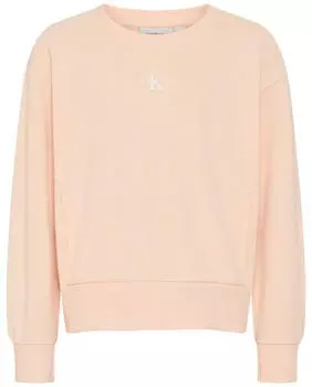 Calvin Klein CK Logo Fashion Sweatshirt Regular Fit (27895213) pale peach