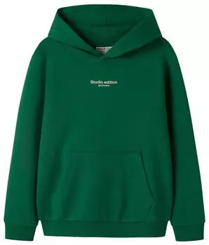 Name It NKMBRODY LS NREG SWEAT WH BRU NOOS Kapuzensweatshirt (13235759) verdant green/jet stream print