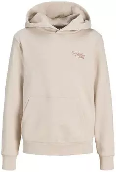 Jack & Jones Jjroar Sweat Hood Jnr (12289886) moonbeam
