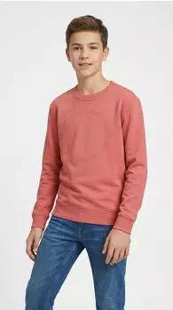Tom Tailor Sweatshirt Faded (1050671) melone