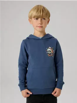 Name It NKFBIANA LS SWE WH BRU BOX PS Kapuzensweatshirt (13252574) saphir/hellgr&uuml;n/hummer/offwhite