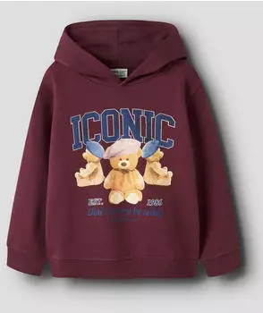 Name It NKFRYCCA LS NREG SWEAT WH BRU BOX Hoodie (13249371) burgunder