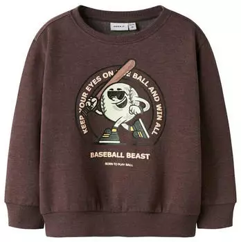 Name It Nmfritta / Nmmradim / Nmmoran Ls Nreg Sweatshirt (13244954) shaved chocolate