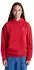 Element Glacier Hoodie (59090747) lava falls