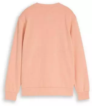 Tom Tailor Sweatshirt mit reflektivem Print (1049829008) lachs/orange