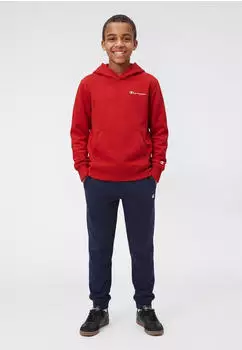 Champion Icons Contrast Terry Hoodie Sweatshirt isa