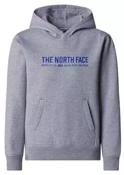 The North Face Varsity Graphic Relaxed Hoodie (NF0A89HB) tnf light grey heather