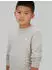 Calvin Klein Mini Badge Regular Fit Sweatshirt (IU0IU00570) ancient marble