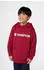 Champion Legacy Boy Big Logo Hoodie Sweatshirt Standard Fit (307253) rot