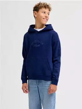 Jack & Jones JORBLEECKER BRANDING SWEAT HOOD BF JNR Kapuzensweatshirt (12286809) ocean cavern