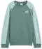 Puma Sport Crew TR G Sweatshirt (685866) green moon