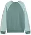 Puma Sport Crew TR G Sweatshirt (685866) green moon