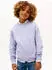 Tommy Hilfiger Mini Corp C-Neck Sweatshirt Regular Fit (KS0KS00665) periwinkle dusk