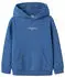 Name It NKMBRODY LS NREG SWEAT WH BRU NOOS Kapuzensweatshirt (13235759) delft