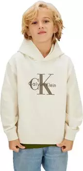 Calvin Klein Mono Logo Hoodie Regular Fit (IB0IB02615) whitecap gray/taupe/stone/schwarz