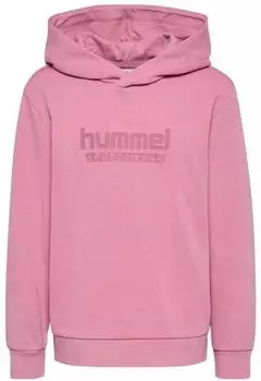 Hummel hmlPURE Hoodie (229726) polignac
