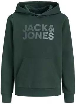Jack & Jones Jjecorp Logo Sweat Hood Noos Jnr (12152841) scarab