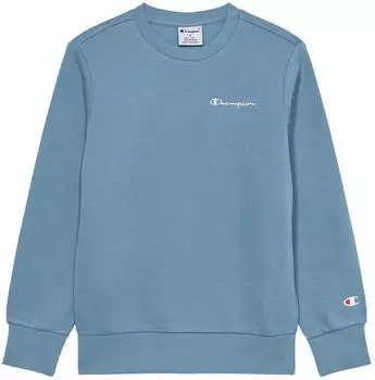 Champion Sportwear Crewneck Sweatshirt Standard Fit (29475250) wdwb