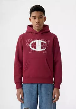 Champion Legacy Boy Big Logo Hoodie Kapuzensweatshirt Standard Fit (85562224) tbr