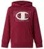 Champion Legacy Boy Big Logo Hoodie Kapuzensweatshirt Standard Fit (85562224) tbr