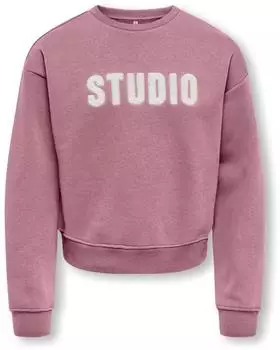 Only Sweat Crew Pullover (15353354) foxglove