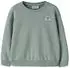 Name It Nmfritta / Nmmradim / Nmmoran Ls Nreg Sweatshirt (32618800) green milieu print:rainbow