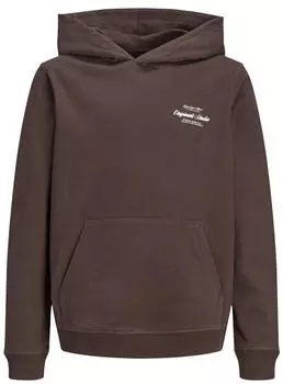 Jack & Jones JORNORREBRO EMB SWEAT HOOD NOOS JNR Kapuzensweatshirt Lockere Passform (12284069) java