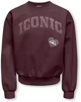 Only Kognaomie Sweatshirt fudge