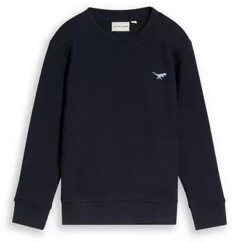 Tom Tailor 1053436 Kinder Sweatshirt mit Print sky captain blau