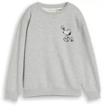 Tom Tailor Sweatshirt mit Snoopy Print und Stickerei in Melierter Optik (1052581) grau