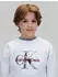 Calvin Klein CK Monogram Terry Cn Sweatshirt (CALa2j7002000007) rauchblau/karminrot/weiß