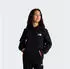 The North Face Evolution Box NSE Pullover Hoodie (NF0A8CV5JK31) tnf schwarz
