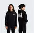 The North Face Evolution Box NSE Pullover Hoodie (NF0A8CV5JK31) tnf schwarz