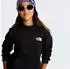 The North Face Evolution Box NSE Pullover Hoodie (NF0A8CV5JK31) tnf schwarz
