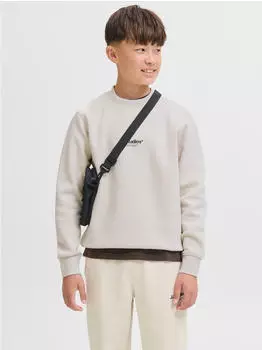 Jack & Jones JJCollege Logo Sweat Crew JNR Sweatshirt (12279112) moonbeam