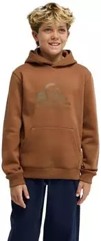 Quiksilver Comp Logo Hoodie Fleecepullover (EQBFT03950-CNW0) rawhide