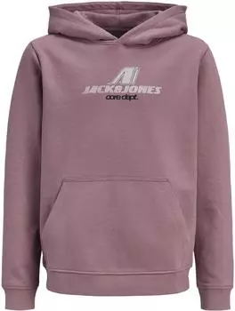 Jack & Jones Jcotier Front Print Sweat Hood lila