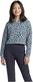 Tom Tailor Cropped Hoodie Sweatshirt (1053235) green big leo design