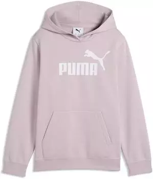 Puma ESS No. 1 Logo Fleece-Hoodie Teenager Kleidung Rosa (684896_49)