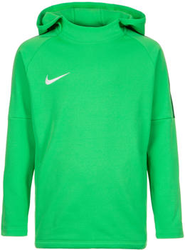 Nike Academy 18 (AJ0109) green spark/pine green/white