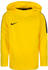 Nike Academy 18 (AJ0109)