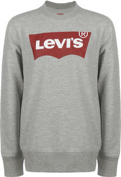 Levi's Kids Batwing Crewneck Sweater grey