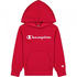 Champion Hoodie Big Print (305358)