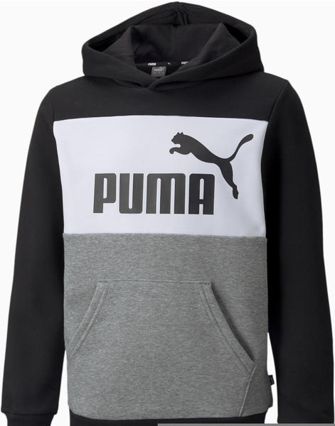 Puma ESS Colorblock Hoodie Kids (849081) black