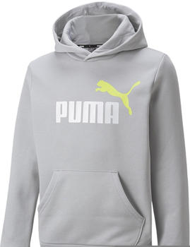Puma Essentials+ Two-Tone Big Logo Youth Hoodie (586987) harbor mist